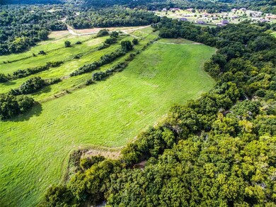 299 Mastadon Way, Weatherford, TX 76085 - photo 6
