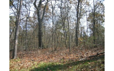 Additional View