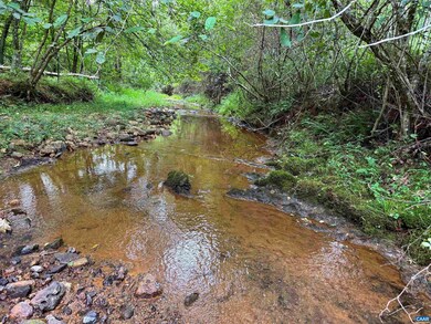 TBA Old Green Mountain Rd unit 500, Esmont, VA 22937 - photo 2
