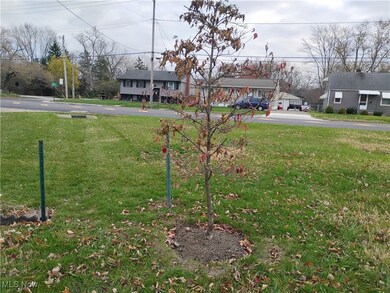 950 W River Rd N, Elyria, OH 44035 - photo 5