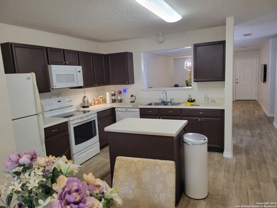 3835 Pavo Viejo, San Antonio, TX 78223 - photo 6