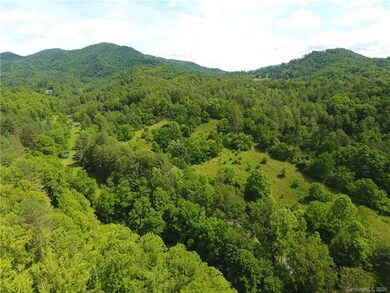 0 Sam Robertson Rd, Cane River, NC 28714 - photo 3