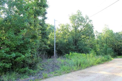 6985 560 Gr, Paragould, AR 72450 - photo 4