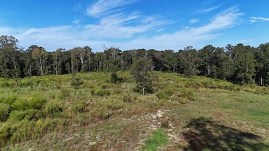 444-0 Tall Oaks Rd, Defuniak Springs, FL 32435 - photo 6