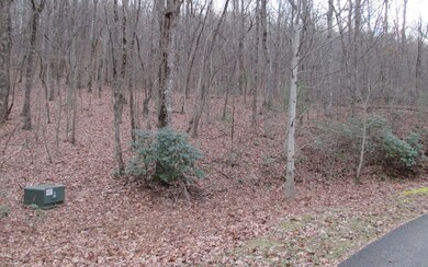 Additional View