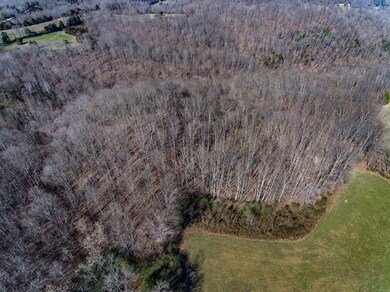 15145 Dodson Branch Hwy, Algood, TN 38501 - photo 3