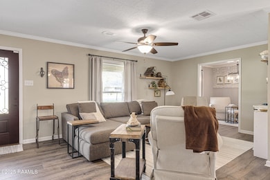 1009 Stephen St, Scott, LA 70583 - photo 5