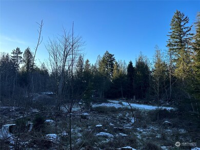 21203 194th Ave E, Orting, WA 98360 - photo 7