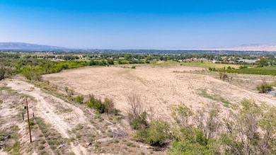 267 33 Rd, Palisade, CO 81526 - photo 4
