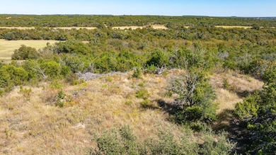 3895 County Road 512, Stephenville, TX 76401 - photo 6