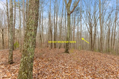 Distant mountain views Lot 1 Lookout Cre