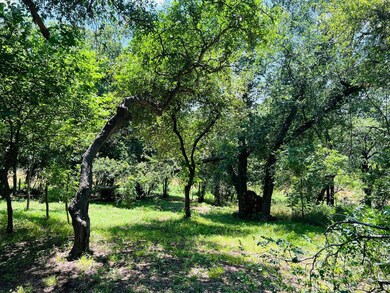 340 S Lazy Bend Estates Rd, Millsap, TX 76066 - photo 4