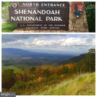 Lot 6 Buck Mountain Rd, Bentonville, VA 22610 - photo 6