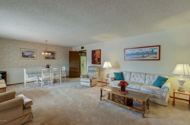 17822 N Palo Verde Dr, Sun City, AZ 85373 - photo 5