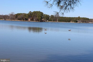 111 Point Rd, Stevensville, MD 21666 - photo 6