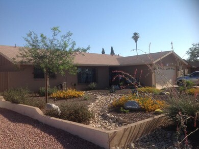 Front Ext