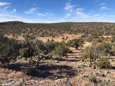 121.5 Greenview Ranch, Seligman, AZ 86337 - photo 4