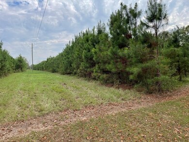 XXX Rushingtown Rd, Tylertown, MS 39667 - photo 2