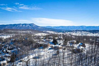 195 Diamond Ct, Harrisonburg, VA 22801 - photo 4