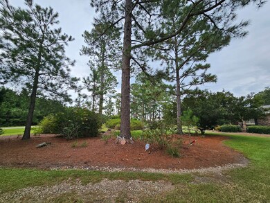 915 Riggs Store Rd, Meigs, GA 31765 - photo 6