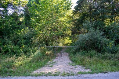 0 Greenlawn Rd unit 5172176, Quaker City, OH 43773 - photo 3