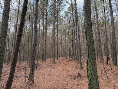 0 Branson Crossing Rd, Kingston, GA 30145 - photo 4