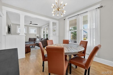 7716 Lovella Ave, Saint Louis, MO 63117 - photo 4