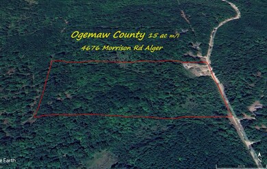 4676 Morrison Rd, Alger, MI 48610 - photo 2