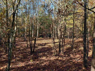 0 Bethuel Rd unit Lot 11, Unincorporated, TN 38053 - photo 5