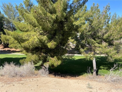 13858 Tam o Shanter Dr, Victorville, CA 92395 - photo 6