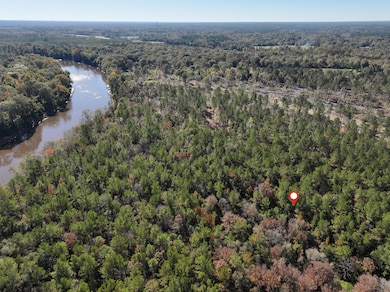 Old_Hwy_24_W_Lot_24-3