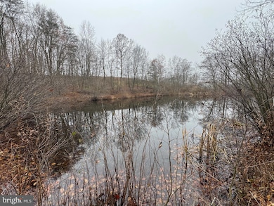 3014 Peach Orchard Rd, McConnellsburg, PA 17233 - photo 4