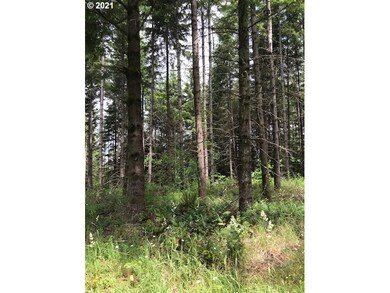 00 Cater (East) Rd, Warren, OR 97053 - photo 4