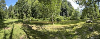 22722 Trails End Rd SE, Yelm, WA 98597 - photo 7