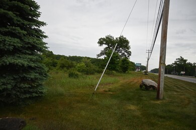 DSC_1917