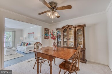 8400 Hallmark Cir, Parkville, MD 21234 - photo 6