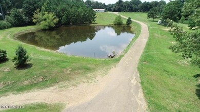 Pond 2