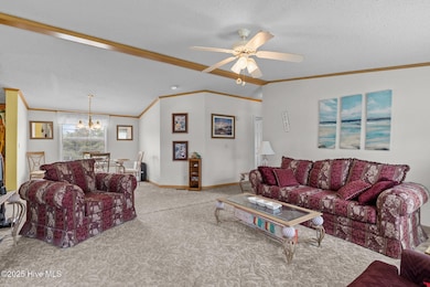 22-web-or-mls-1S3A4266