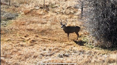 8257 St Hwy 172, Ignacio, CO 81137 - photo 7