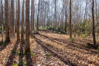 4637 Howe Rd, Greer, SC 29651 - photo 3