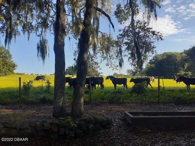 884b9943-37d1-438d-aed7-1f7a14c57181