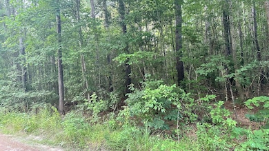 0 Pearl Acres Ln, Huger, SC 29450 - photo 6