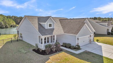 CREM - 3524 Great Egret + Aerials-3 (2)