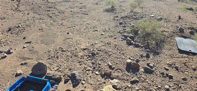 3676 W Collins Dr, Golden Valley, AZ 86413 - photo 4