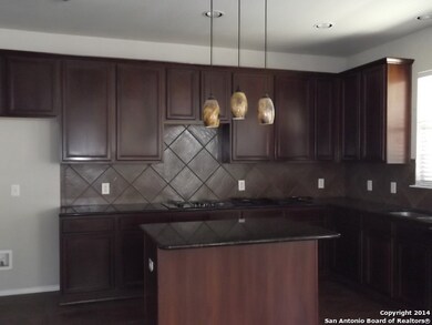 3303 Navajo Peace, San Antonio, TX 78261 - photo 2