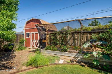 Vegetable garden