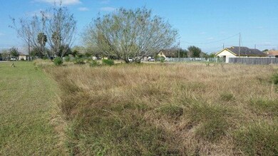 2408 Diana St, Donna, TX 78537 - photo 5