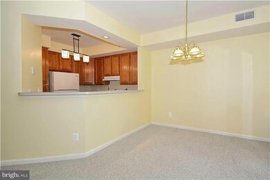 1314 Garden Wall Cir unit D, Reston, VA 20194 - photo 5
