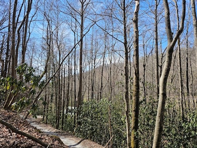 Lot 16 Warrior Way, Andrews, NC 28901 - photo 3