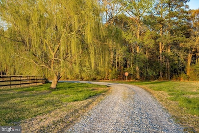 20215 Nanticoke Rd, Nanticoke, MD 21840 - photo 4